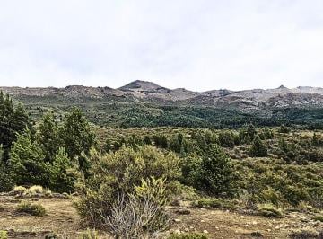 Campo , Ñirihuau · Campo en Ñirihuau - Área de Reserva Nacional Parque Nacional Nahuel Huapi