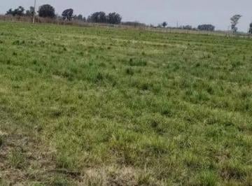 Terreno · 4954m² · Terreno en Venta - 4.954 m² - Lincoln