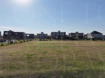 Terreno · 800m² · Terreno en Venta en Terralagos Sector Plaza Fondo Libre