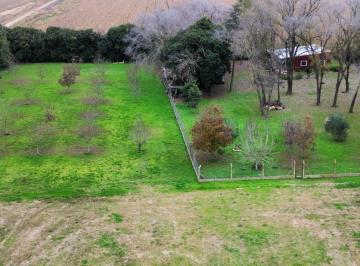 Campo · 34000m² · 4 Ambientes · Campo con Casa y Forestación en Arroyo Seco