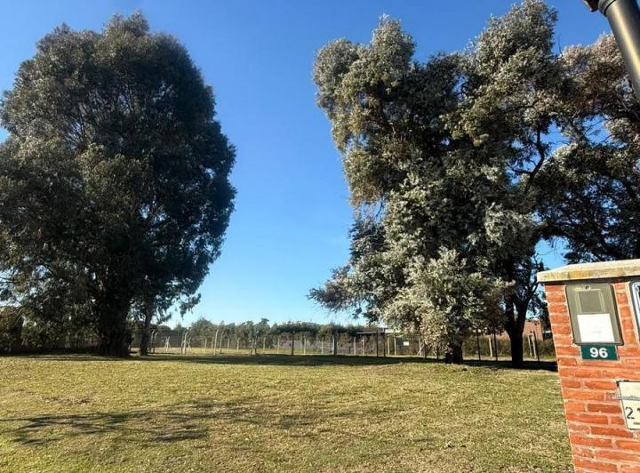 Terreno · 483m²