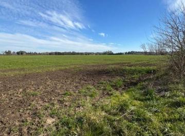 Campo · 360000m² · 1 Ambiente · Venta de Campo en Cortines