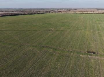 Campo · 50m² · Se Vende 50has en Cerrito!