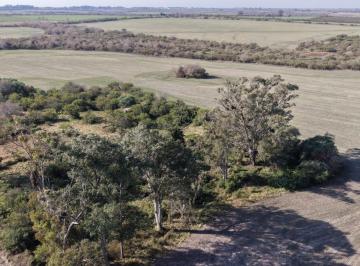 Campo · 142m² · Se Venden 142 Ha en Parana