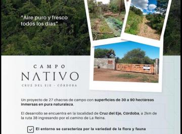 Terreno · 1000m² · 38 Ha, en Cruz del Eje