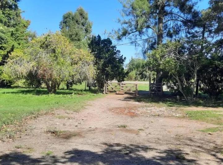 Terreno · 12000m²