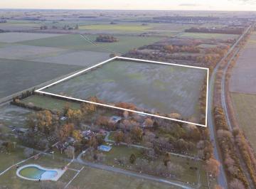 Campo · 18ha · Campo en Venta Sobre Ruta 33 en Zavalla