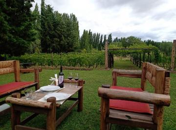Bodega-Galpón · 415m² · 8 Ambientes · 10 Cocheras · Quinta en Perdriel