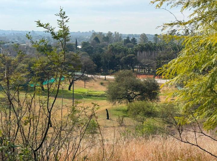 Terreno · 1250m²