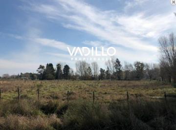 Terreno · 5000m² · Media Hectárea en Venta - San Vicente