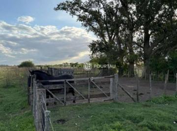 EPU-EPU-1_2 · Campo 125 Hectáreas |. | Ranchos