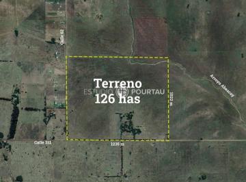EPU-EPU-47_2 · Campo Hectáreas |. | Ruta 215