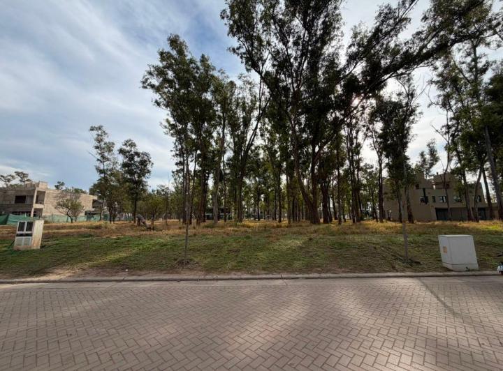 Terreno · 380m²