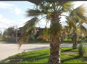 Terreno · 300m² · Venta Lote Barrio Nautilius
