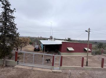Campo · 360ha · Venta Finca en Maipú