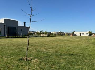 Terreno · 667m² · Terreno en Barrio San Felipe