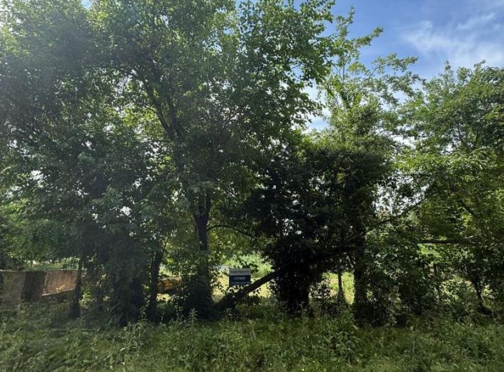 Terreno · 388m²