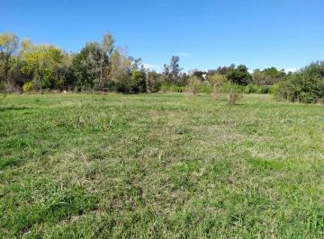 Terreno · 15000m² · Pilar. Terreno 150 m X 100 m. 1.5ha Cr1. Apto Loteo.