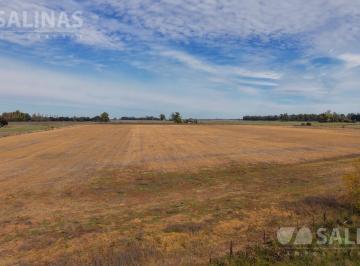 Campo · 120000ha · 12 Ha Chacra en San Andrés de Giles