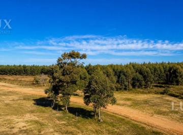 Terreno · 450m² · Terreno en Venta en La Criolla, Concordia, Entre Rios