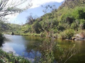 Campo · 400ha · Oportunidad de Inversion Campo en Villa de Soto