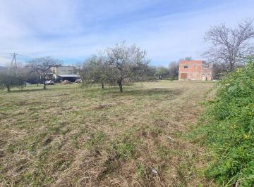 Terreno · 533m² · Venta Lote 532 m² Santa Monica Calamuchita