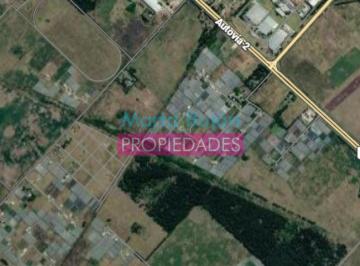 Terreno · 400m² · Venta Lote 400 m. Barrio Estacion Abasto - La Plata