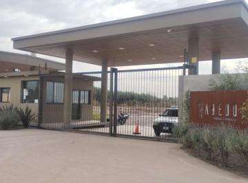Terreno , Carrodilla · Lote en Venta en Barrio Privado Abedul Lujan Cuyo
