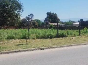ISN-ISN-2902_2 · Lote. | Pje Baltazar Aguirre Al 1000