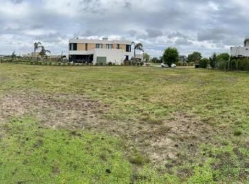Terreno · 650m² · Terreno en Venta - 650 m² - San Sebastián