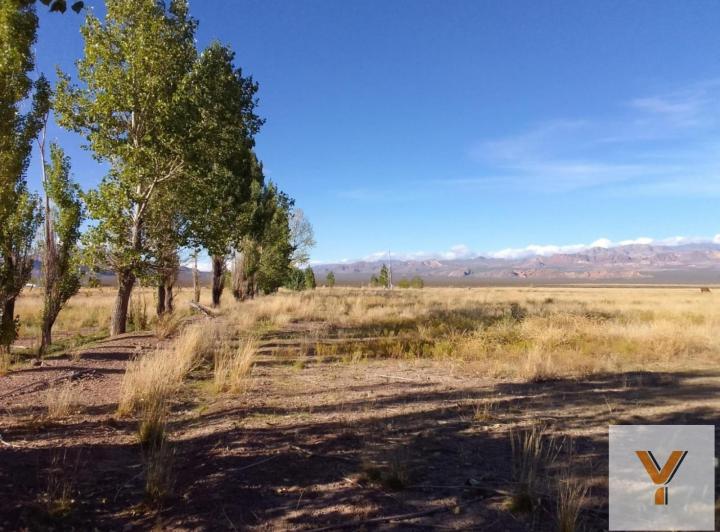 Campo · 130000m²