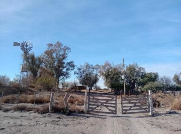 Campo · 3400m² · Campo Ganadero 3.400 Has | San Rafael | Mendoza | Potencial Productivo