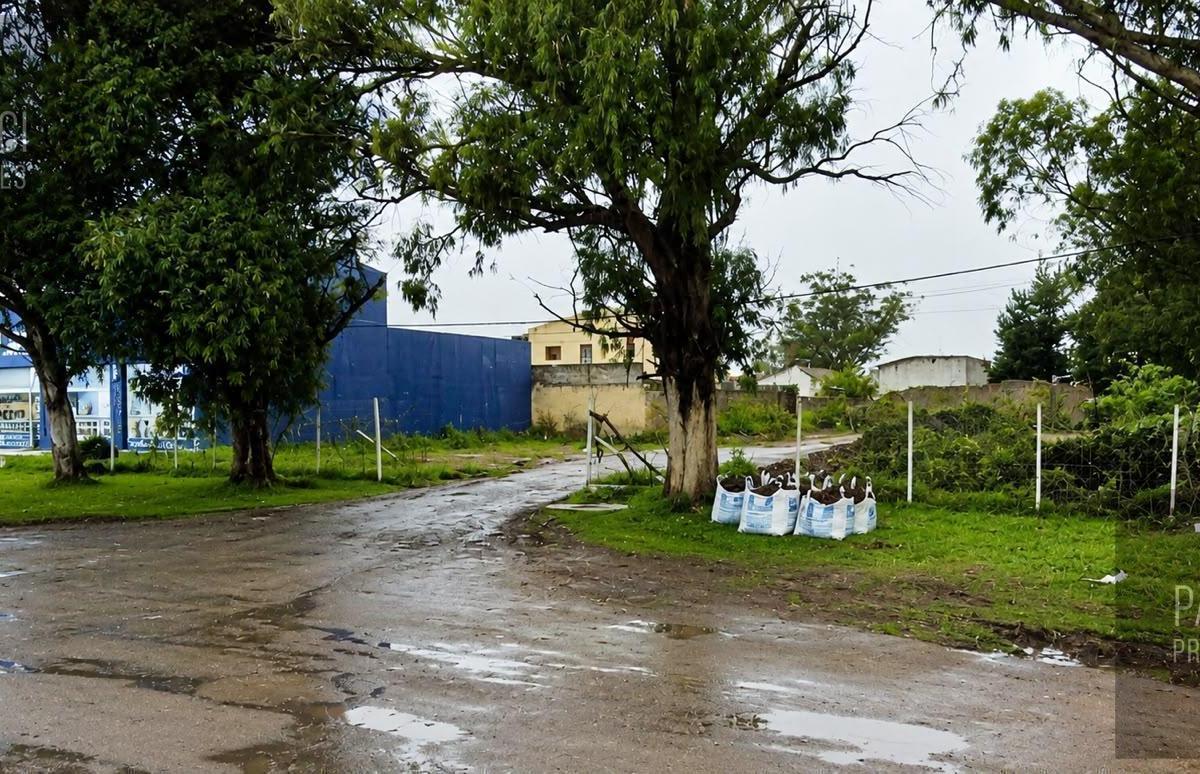 Venta | Tres Terrenos en Block sobre Av. Jorge Newbery