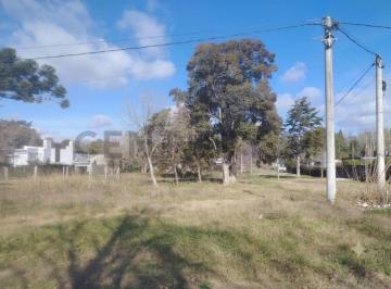 Terreno · 515m² · Venta de Lote en Villa Elisa - 13 Esquina 48 Villa Elisa