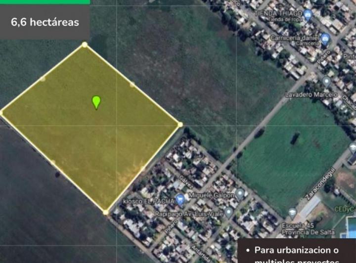 Campo · 66000m²