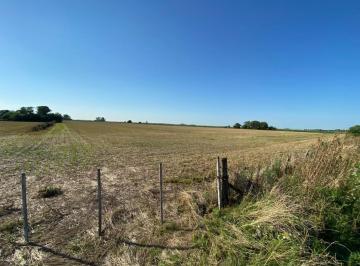 Campo · 93500m² · Campo Agricola de 9,3 Has en Ramallo