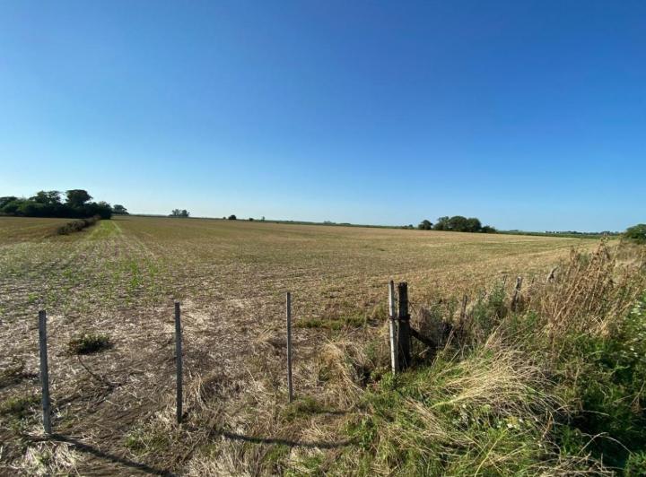 Campo · 128000ha