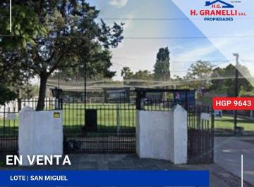 HGP-HGP-9643_2 · Lote. | Maestro Angel d'Elia Al 2600