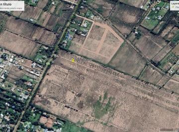 Terreno , San Rafael · Lote en Venta - "Complejo Plaza Libertad" - San Rafael