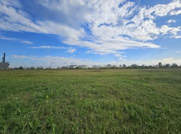 Terreno · 618m² · Venta | Terreno Interno - Barrio Riberas - Puertos - Oportunidad!