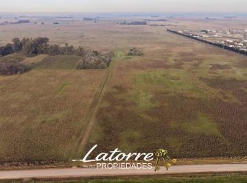 Campo , Brandsen · Venta - Campo