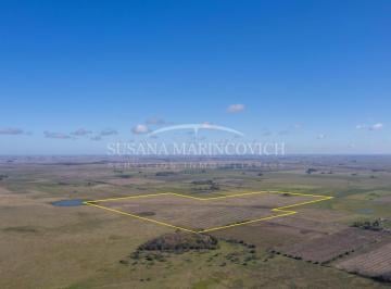 Campo · 800000ha · Campo Ganadero de 80ha en Venta en Navarro