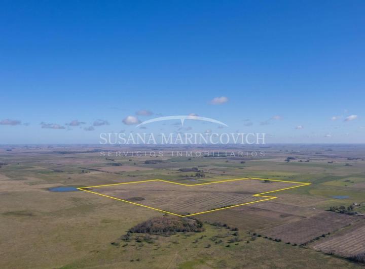 Campo · 800000ha