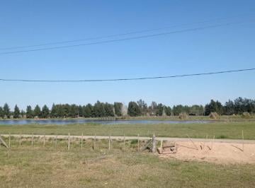 Terreno , Brandsen · Lote en Venta - Barrio Las Malvinas