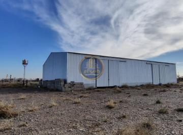 Bodega-Galpón · 600m² · Alquiler de Galpon - Añelo