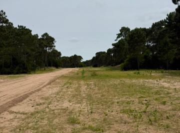 Terreno · 1079m² · Lote en Venta Barrio Bosques Pinamar Norte