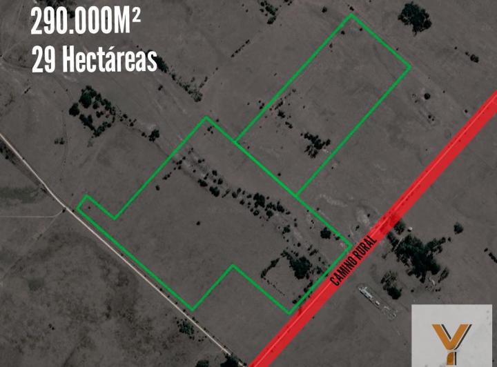 Campo · 290000m²