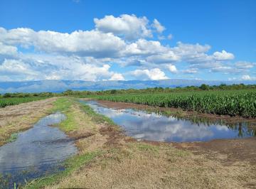Campo · 450000m² · Lote/campo en Los Romeros