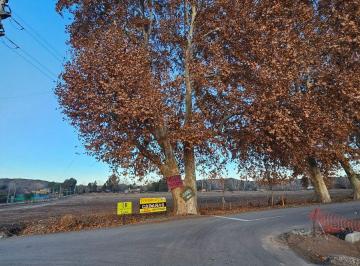 Terreno , Perdriel · Barrio Privado Los Carolinos - Lanzmiento Oficial - Perdriel