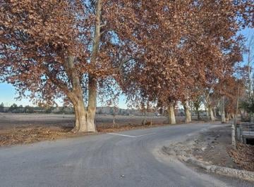 Terreno , Perdriel · Barrio Privado Los Carolinos - Lanzamiento Oficial - Perdriel